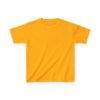 High Quality Genesis Apparels Unisex-Fun Kids Heavy Cotton™ Tee - Comfortable & Playful Design for Every Occasion - Image 29